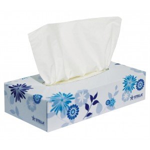 Facial Tissue 2 ply 100 sheet box