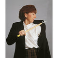 Homecraft Dressing Stick, 520mm long