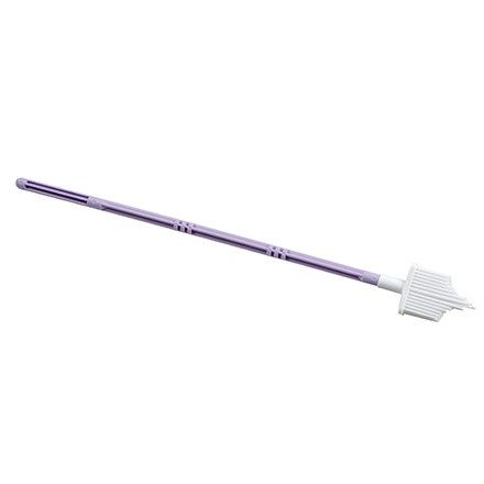 endocervical brush for papsmear / purple / box of 100