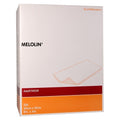 Melolin 10cmx20cm 100