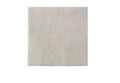 Biatain Alginate 5cm x 5cm 30