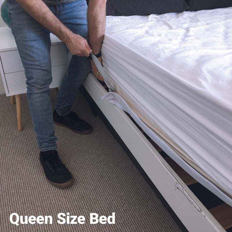 Calming Sheet