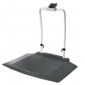 oneweigh wheelchair scale (2 wide ramps & handrail)