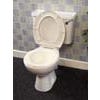Homecraft Portable Bidet, for Standard Toilet
