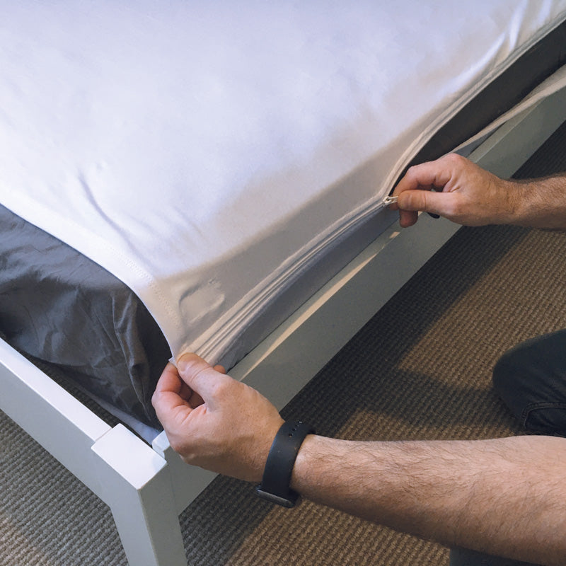 Calming Sheet