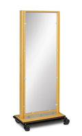 fortress mobile posture mirror