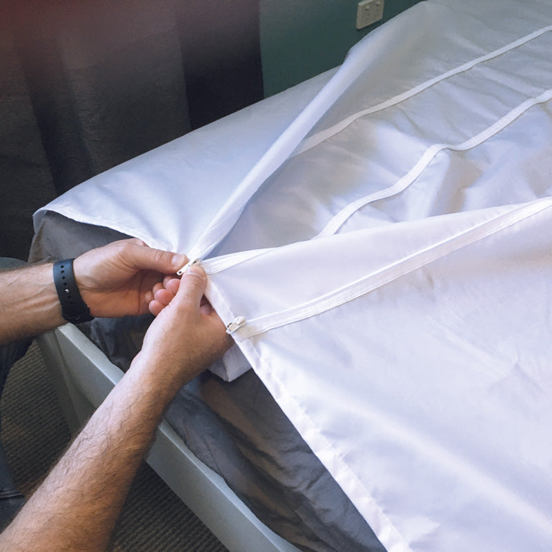 Calming Sheet