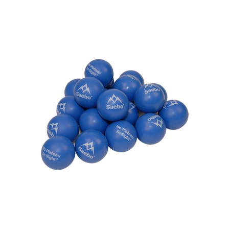 Saebo Exercise Balls