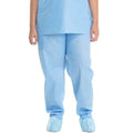 Halyard Scrub Pants Large Blue