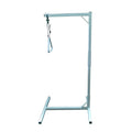 Days Overbed Pole