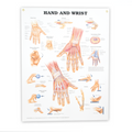 Hand and Wrist Anatomical Chart