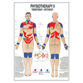Thermotherapy Chart