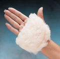 Northcoast Palm Protector