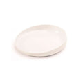 Plate With Raised Edge