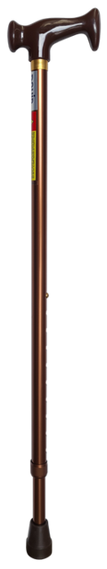 RCN1108 ELEGANT HANDLE CANE
