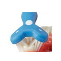 Surround Toothbrush