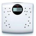 Seca Sensa Scales 804 Body Fat + Water150KG