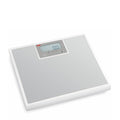 ade electronic high capacity floor scale 250kg