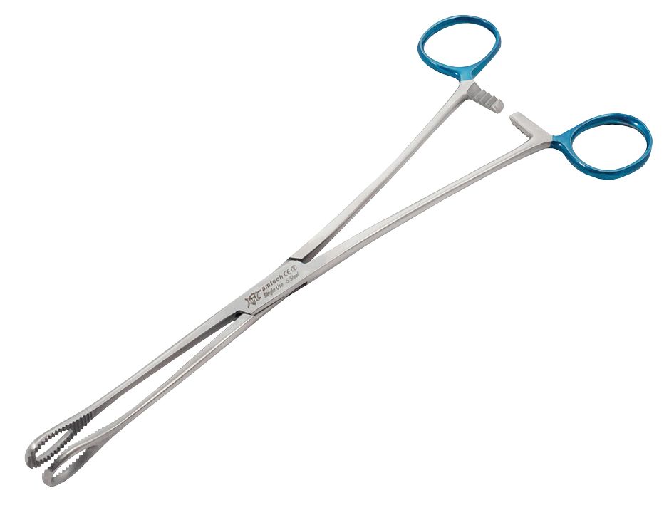 amtech sponge foerster forceps / blue end / sterile / 24cm / each