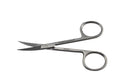 iris scissors / curved
