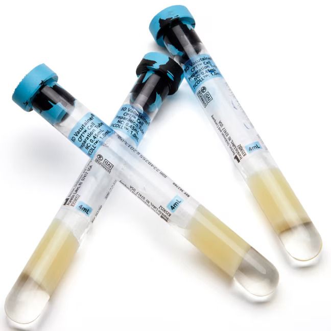 bd vacutainer cpt tubes