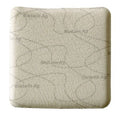 biatain alginate ag 20 x 30cm-box of 5