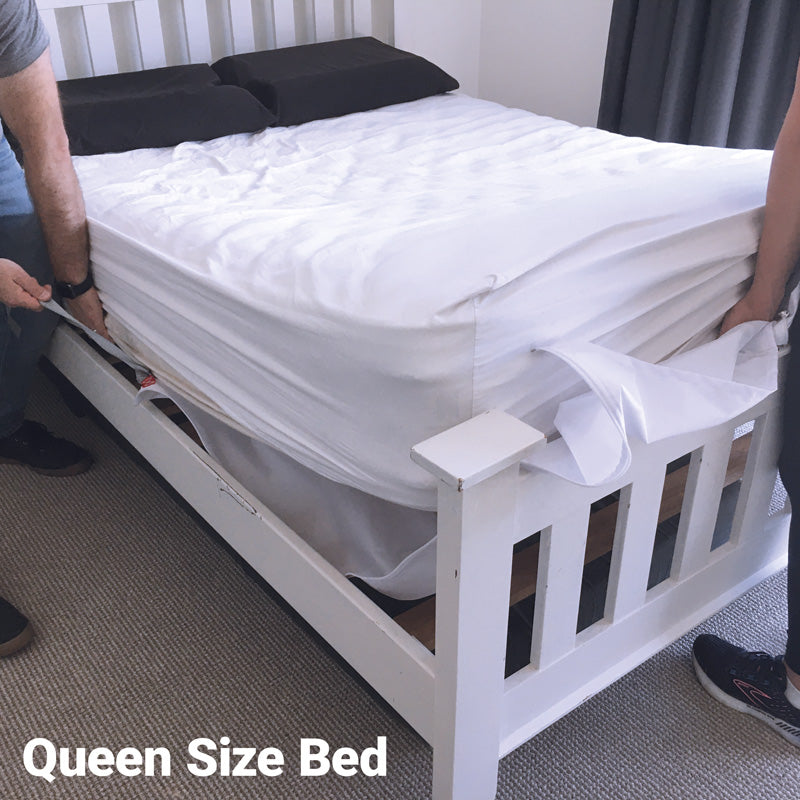 Calming Sheet