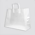 CLEAR WASTE BAG + HANDLE 1260x400x380mm - Ctn/200
