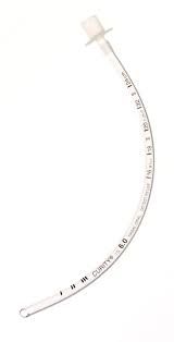 endo tube uncuffed 6.0mm (9366e)