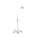 gs 300 general exam light