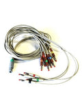NORAV ECG LEADS