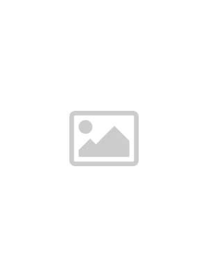 Introcan Certo 20Gx38mm 50s
