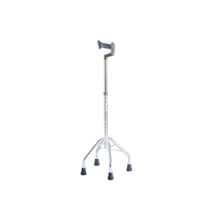 Quad Cane
