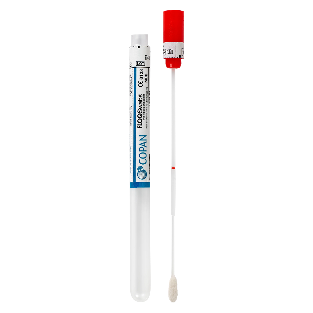 copan regular floq swab in tube / box of 100