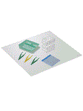 DRESSING PACK #16