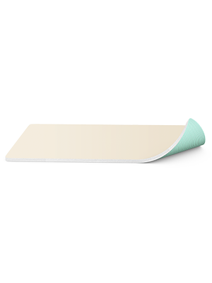 SORBACT® Foam Dressing 10 x 20cm - Box/10