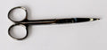Scissors Sharp/Sharp Straight 13cm