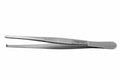 tissue forceps / 2x3