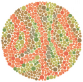 Ishihara Colour Blindness Book 14 Plate