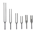 tuning fork c256hz s/s no weights