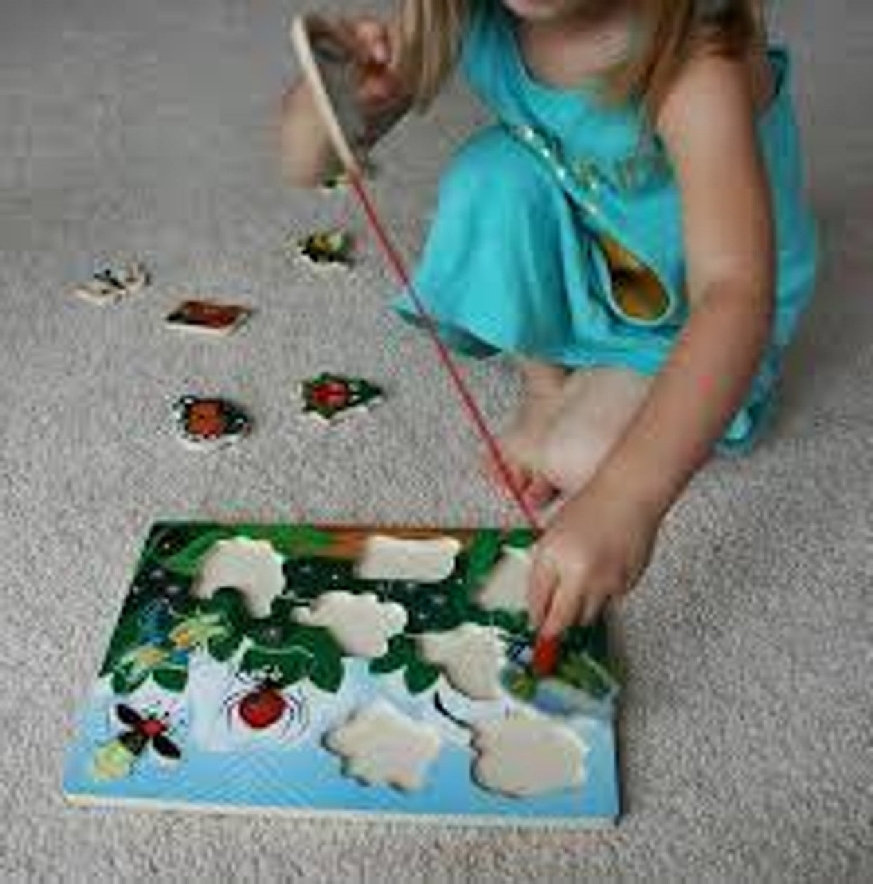 Magnetic Puzzles