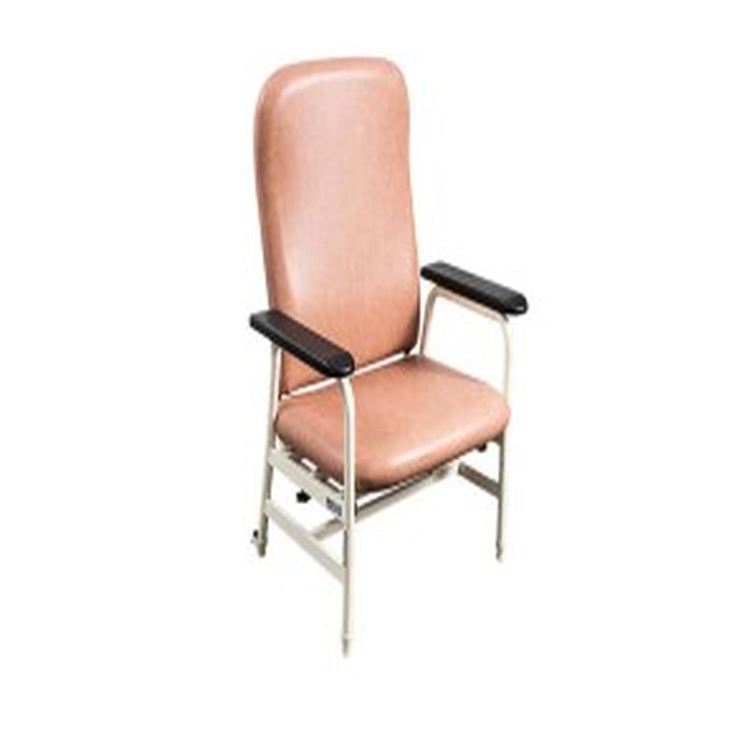 Day Chair, Euro, Extra Care, 600mm, Champagne (SWL 350kg)