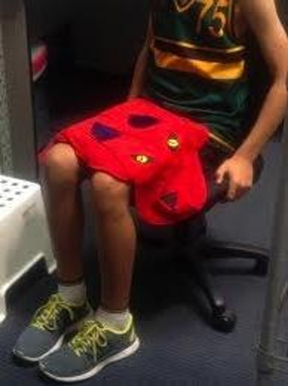 Animal Lap Bag