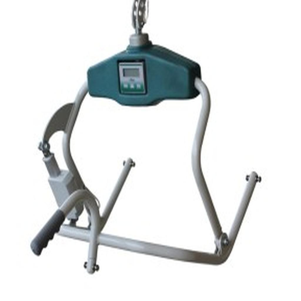 Lifting Hoist Accessories, Ansa, Pivot Frame, Powered, with Integrated Weigh Scale