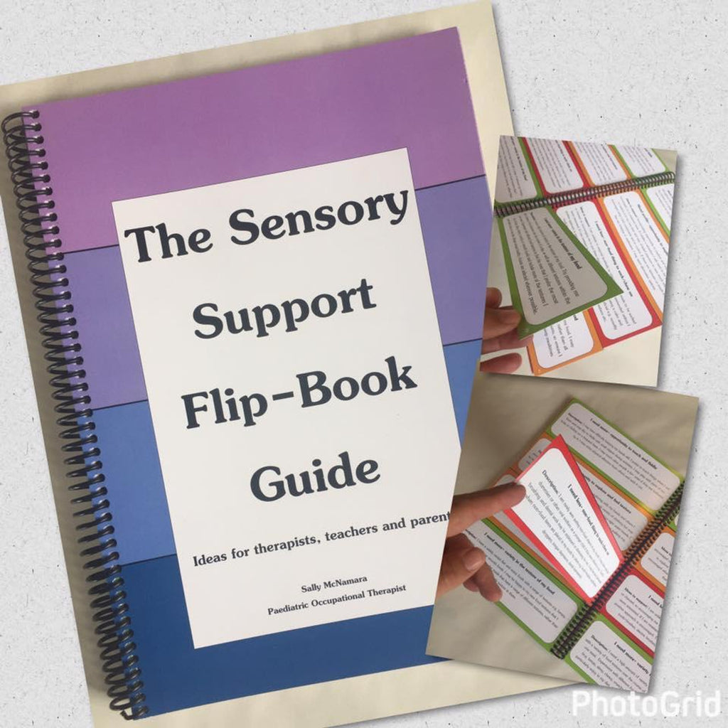 Sensory Support Flip-Book