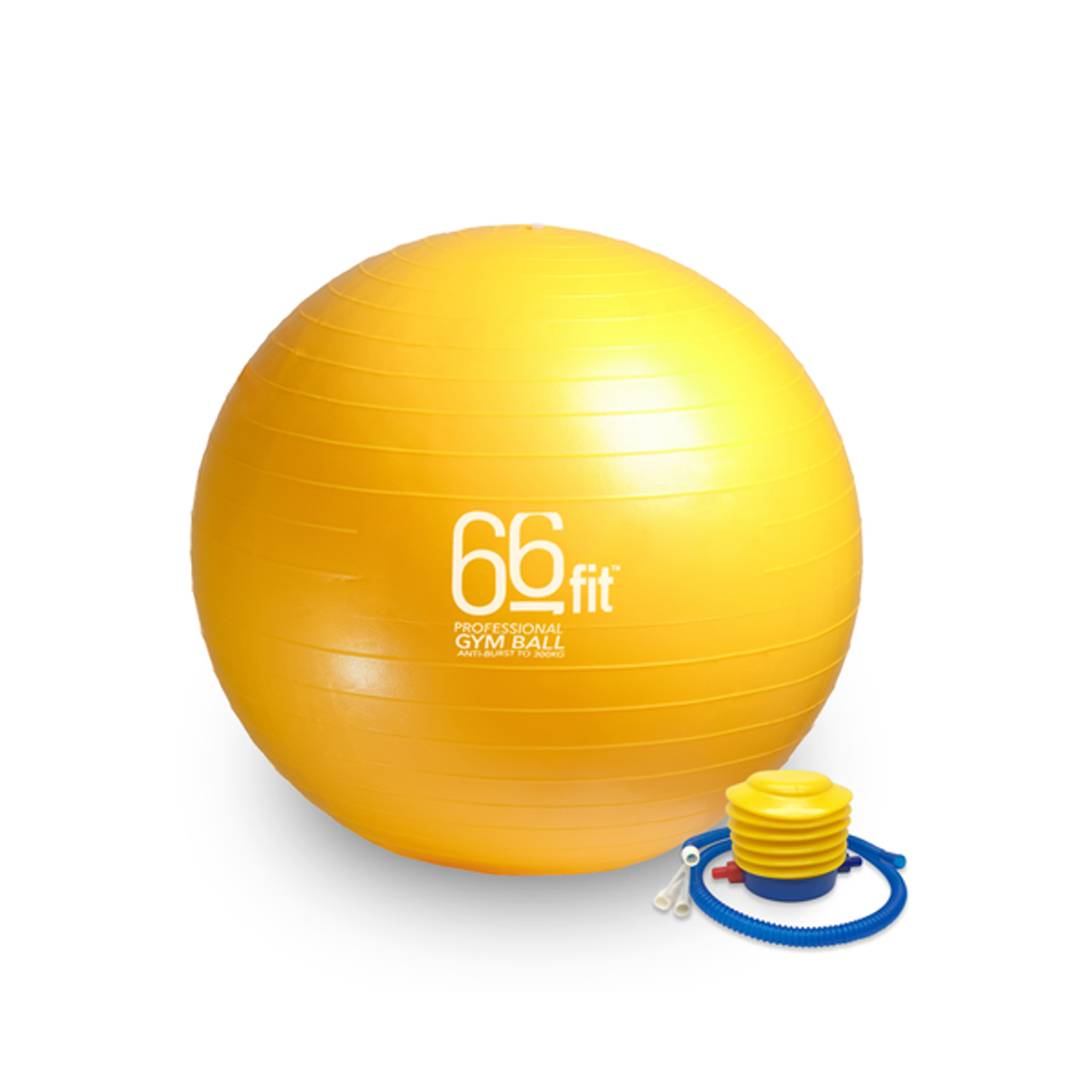 Gym Balls