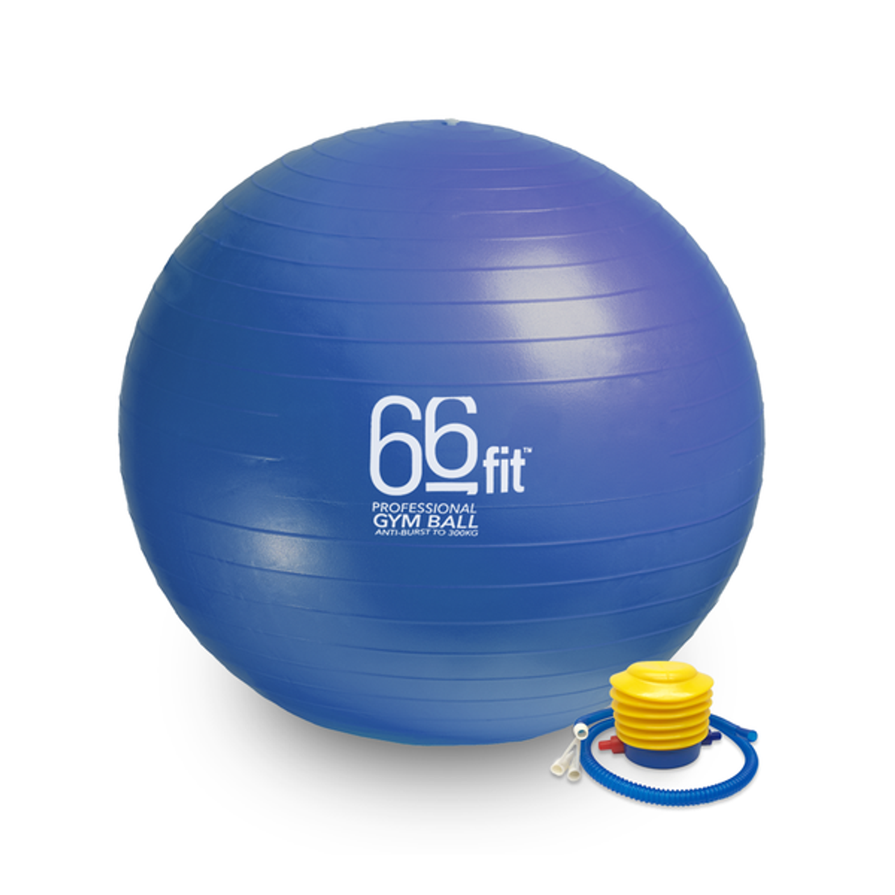 Gym Balls