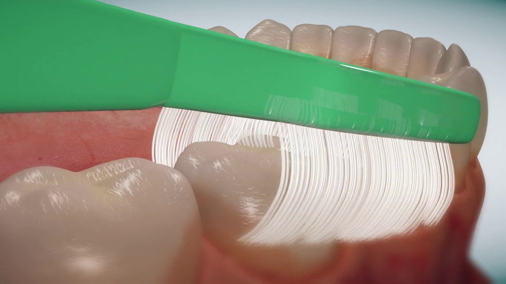 The Collis-Curve Toothbrush