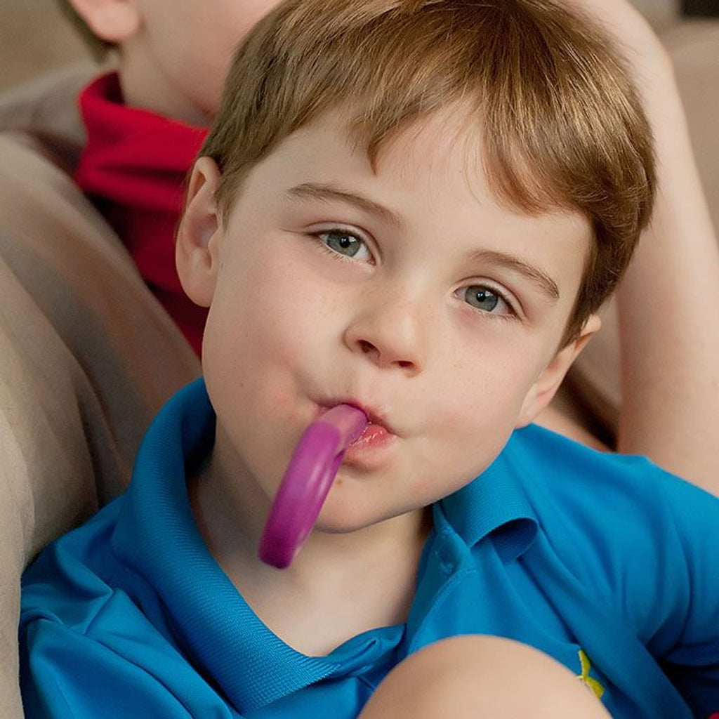 Ark's Grabber Original Oral Motor Chew