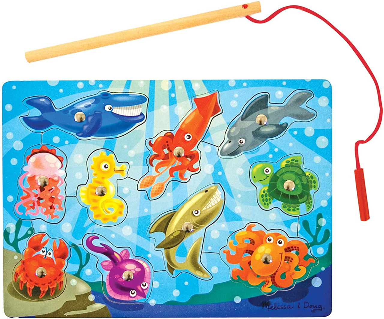 Magnetic Puzzles